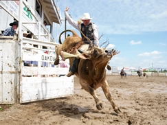 Flying U Rodeo In the News